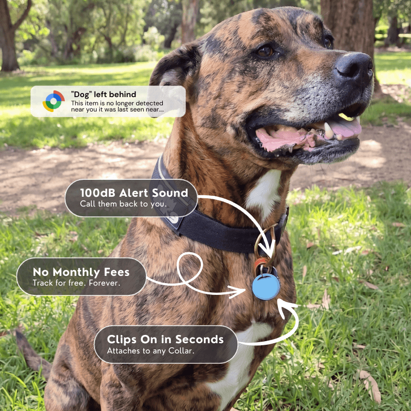 TravelLite™  - Android Smart Tag